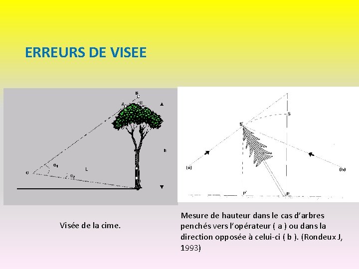 ERREURS DE VISEE Visée de la cime. Mesure de hauteur dans le cas d’arbres