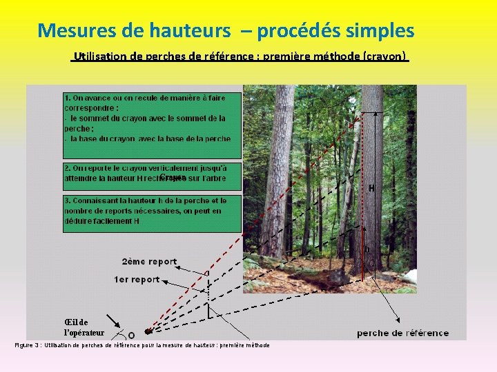Mesures de hauteurs – procédés simples Utilisation de perches de référence : première méthode