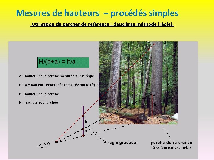 Mesures de hauteurs – procédés simples Utilisation de perches de référence : deuxième méthode