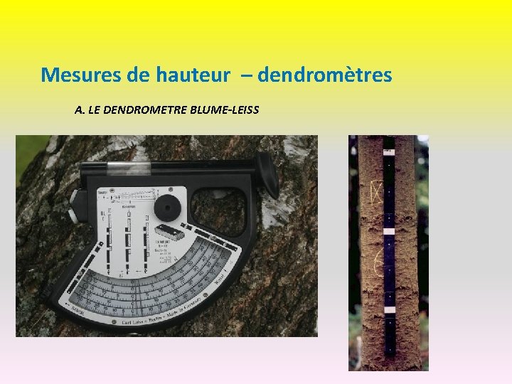 Mesures de hauteur – dendromètres A. LE DENDROMETRE BLUME-LEISS 