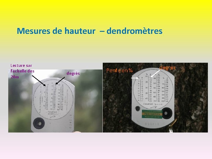 Mesures de hauteur – dendromètres Lecture sur l’échelle des 20 m degrés 