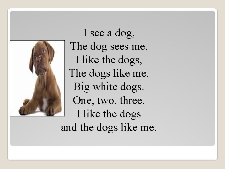 I see a dog, The dog sees me. I like the dogs, The dogs