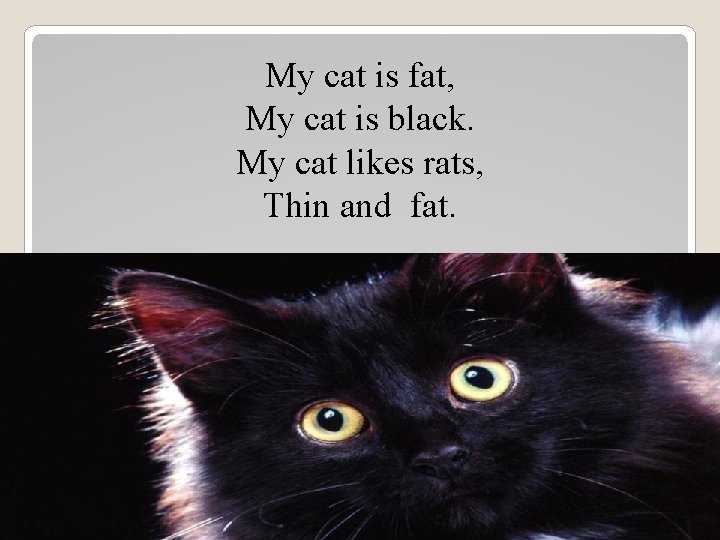 My cat is fat, My cat is black. My cat likes rats, Thin and