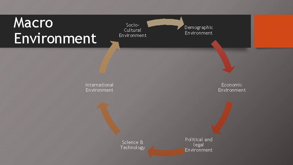 Macro Environment Socio. Cultural Environment Demographic Environment International Environment Economic Environment Science & Technology