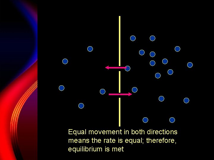 Equal movement in both directions means the rate is equal; therefore, equilibrium is met