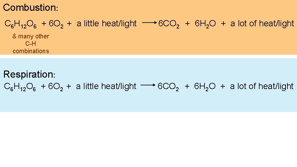 Combustion: C 6 H 12 O 6 + 6 O 2 + a little