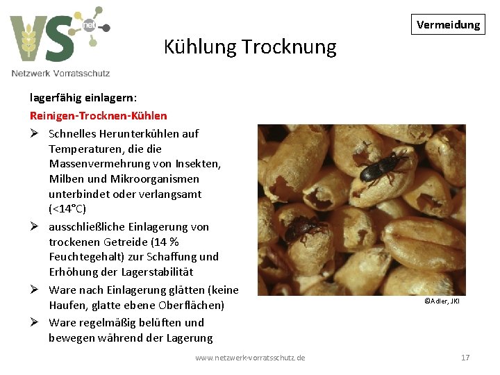 Vermeidung Kühlung Trocknung lagerfähig einlagern: Reinigen-Trocknen-Kühlen Ø Schnelles Herunterkühlen auf Temperaturen, die Massenvermehrung von