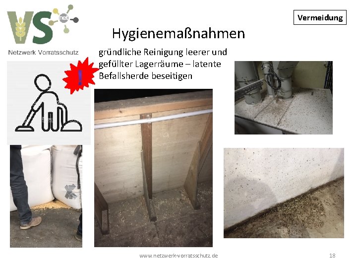 Vermeidung Hygienemaßnahmen gründliche Reinigung leerer und gefüllter Lagerräume – latente Befallsherde beseitigen www. netzwerk-vorratsschutz.