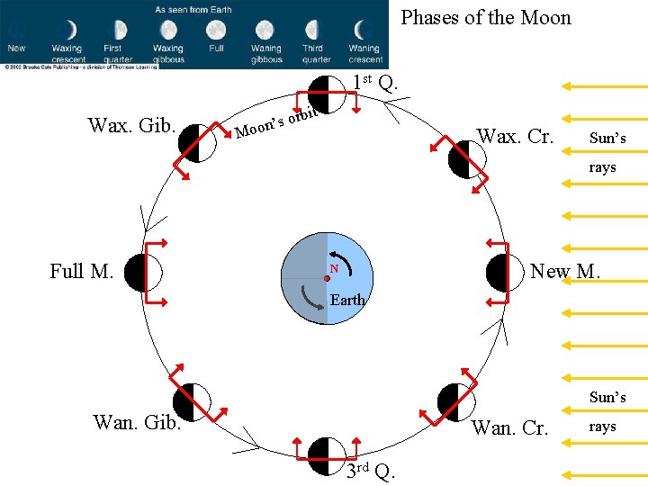 Phases of the Moon 1 st Q. Wax. Gib. it s orb ’ n