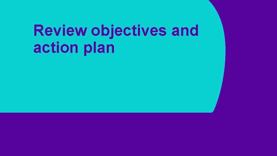Review objectives and action plan 