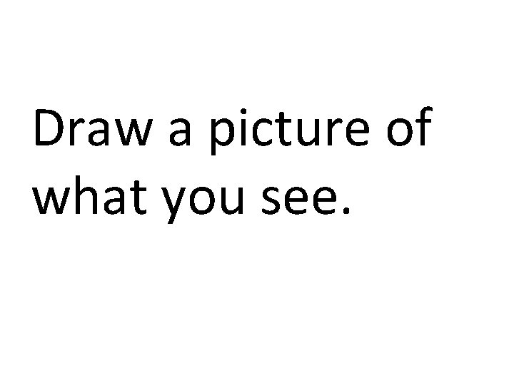 Draw a picture of what you see. 
