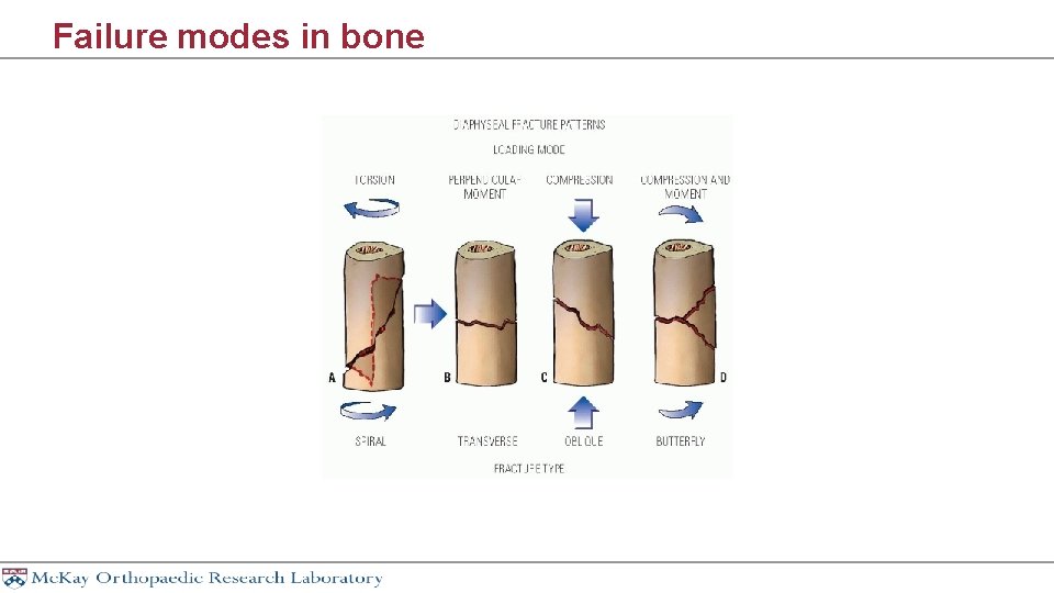 Failure modes in bone 