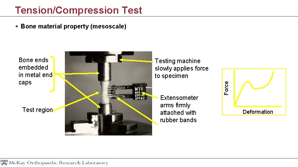 Tension/Compression Test w Bone material property (mesoscale) Test region Testing machine slowly applies force