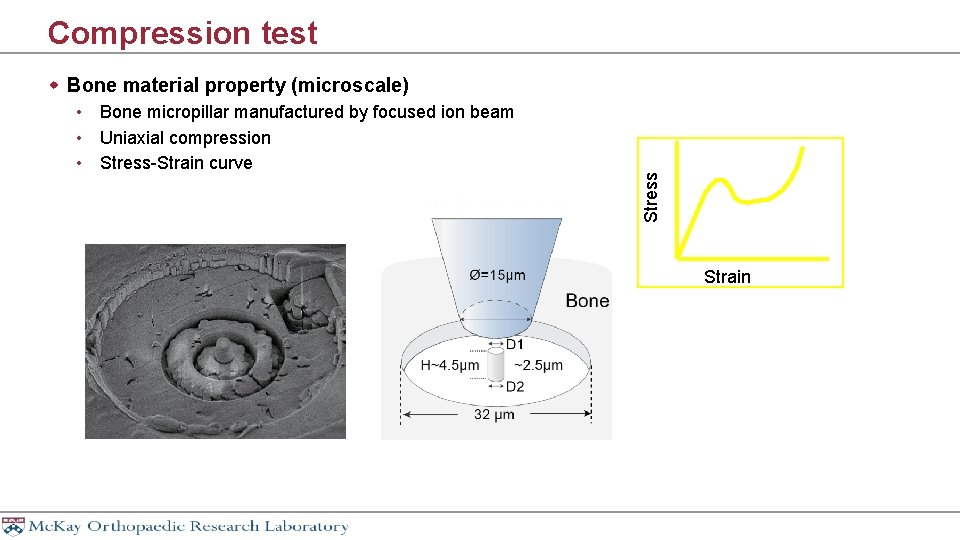 Compression test • Bone micropillar manufactured by focused ion beam • Uniaxial compression •