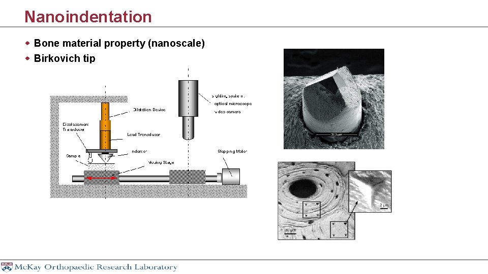 Nanoindentation w Bone material property (nanoscale) w Birkovich tip 
