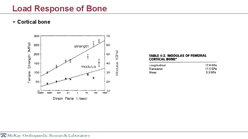 Load Response of Bone w Cortical bone 