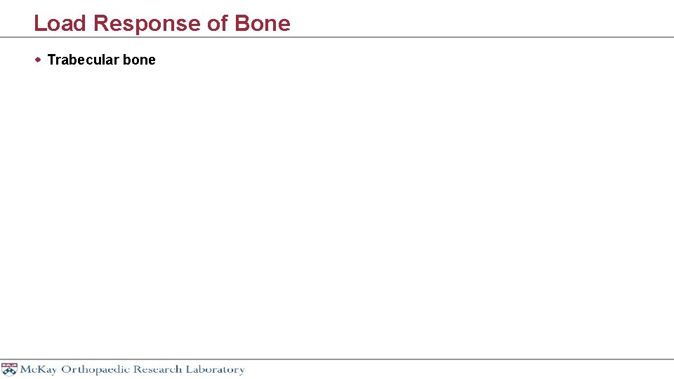 Load Response of Bone w Trabecular bone 