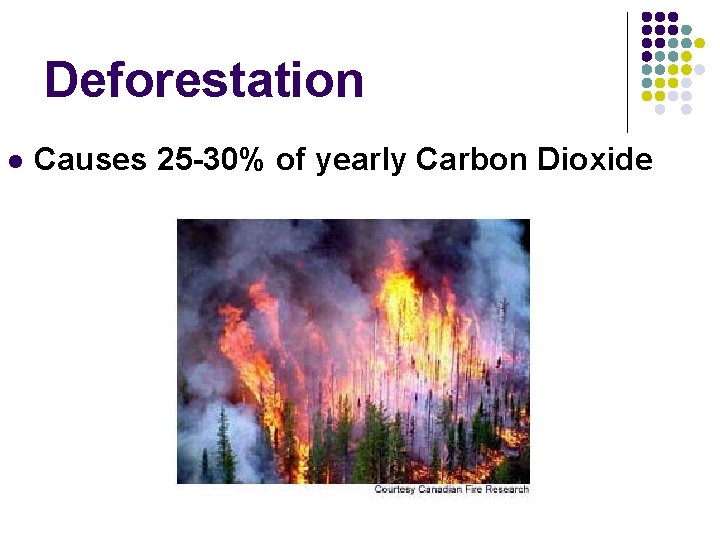 Deforestation l Causes 25 -30% of yearly Carbon Dioxide 