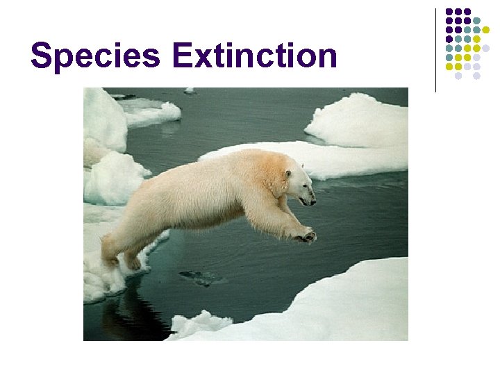 Species Extinction 