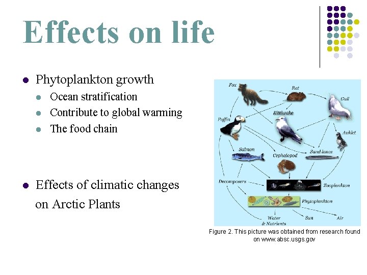 Effects on life l Phytoplankton growth l l Ocean stratification Contribute to global warming