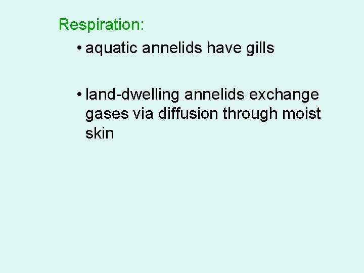 Respiration: • aquatic annelids have gills • land-dwelling annelids exchange gases via diffusion through