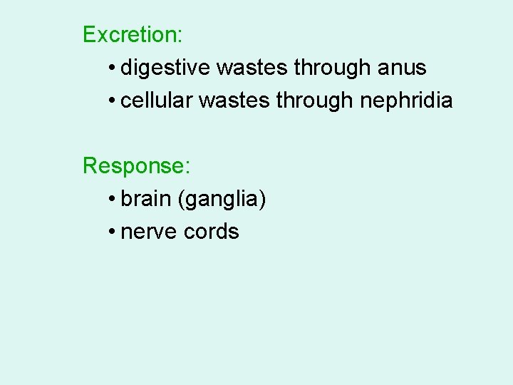 Excretion: • digestive wastes through anus • cellular wastes through nephridia Response: • brain