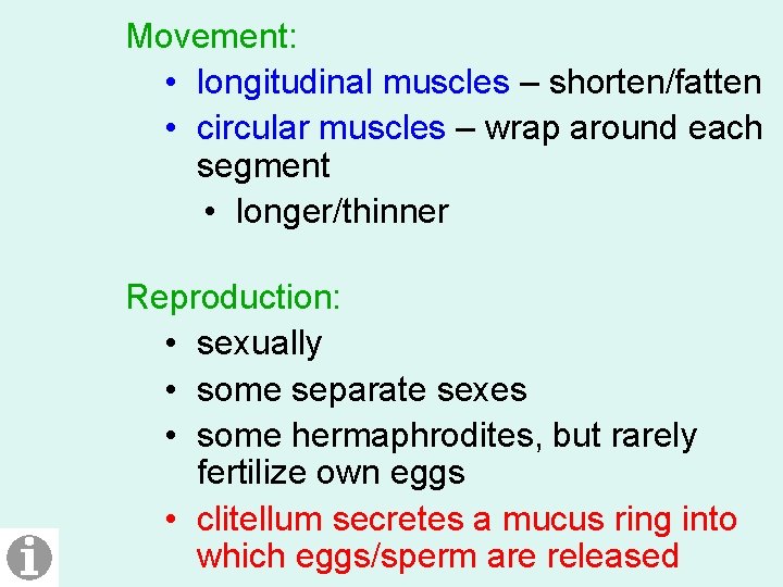 Movement: • longitudinal muscles – shorten/fatten • circular muscles – wrap around each segment