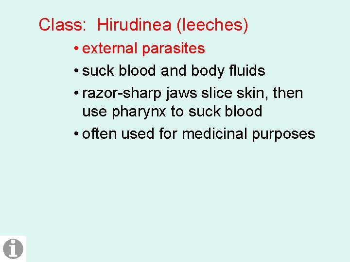 Class: Hirudinea (leeches) • external parasites • suck blood and body fluids • razor-sharp