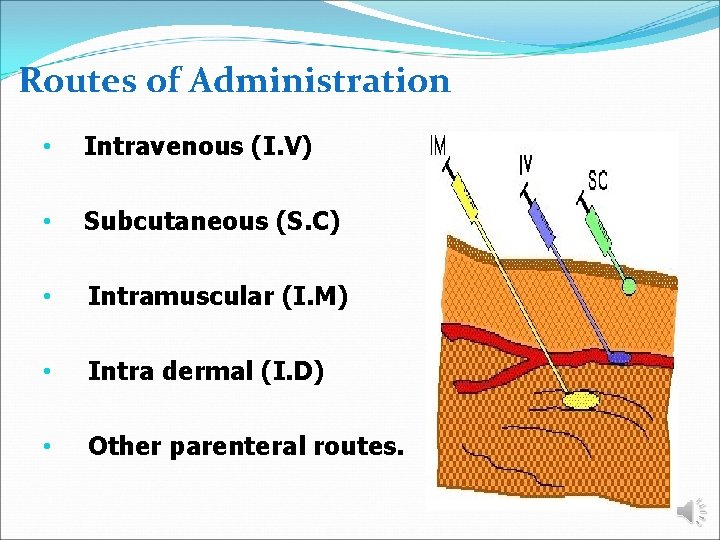 Routes of Administration • Intravenous (I. V) • Subcutaneous (S. C) • Intramuscular (I.