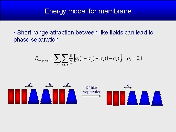Energy model for membrane • Short-range attraction between like lipids can lead to phase