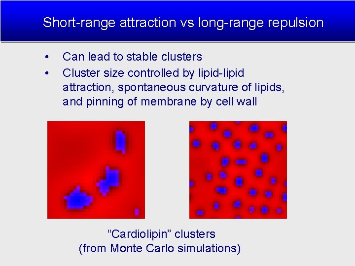 Short-range attraction vs long-range repulsion • • Can lead to stable clusters Cluster size
