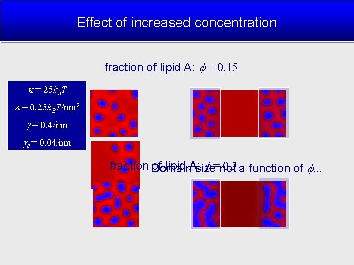 Effect of increased concentration fraction of lipid A: = 0. 15 = 25 k.