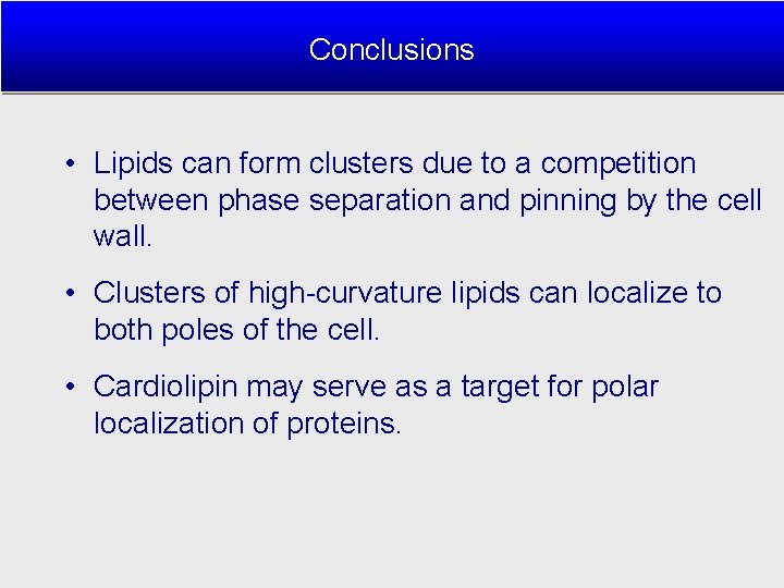 Conclusions • Lipids can form clusters due to a competition between phase separation and