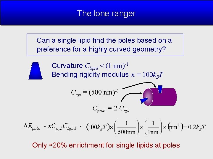 The lone ranger Can a single lipid find the poles based on a preference