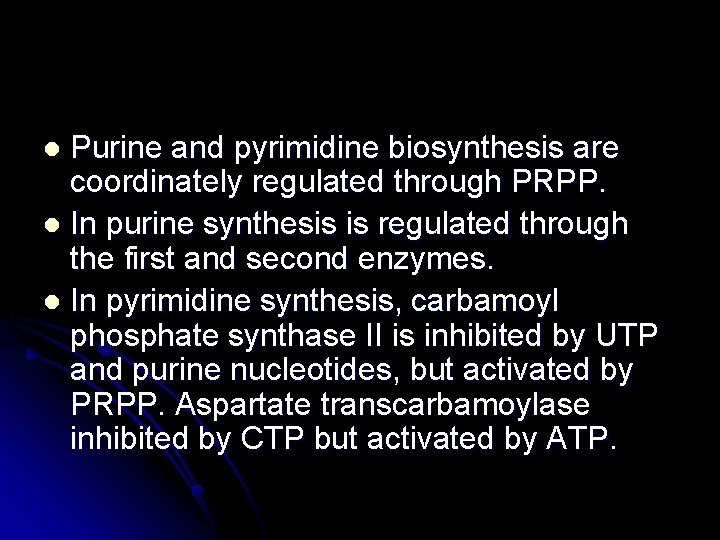 Purine and pyrimidine biosynthesis are coordinately regulated through PRPP. l In purine synthesis is