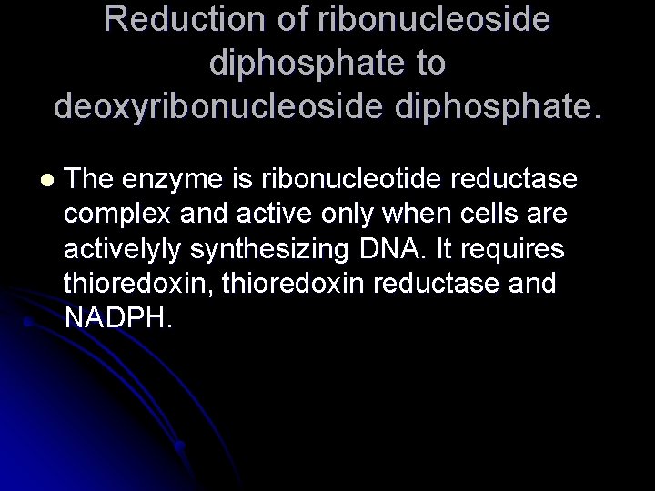 Reduction of ribonucleoside diphosphate to deoxyribonucleoside diphosphate. l The enzyme is ribonucleotide reductase complex