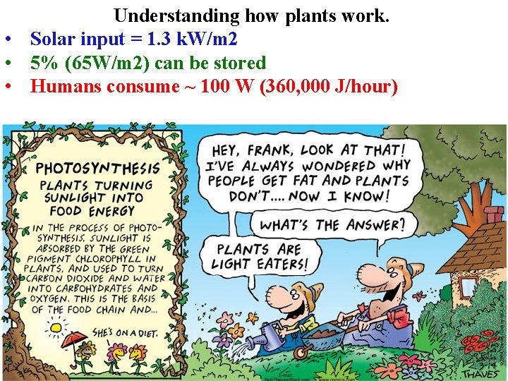 Understanding how plants work. • Solar input = 1. 3 k. W/m 2 •
