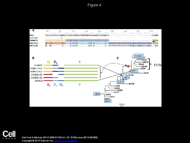 Figure 4 Cell Host & Microbe 2014 16304 -313 DOI: (10. 1016/j. chom. 2014.