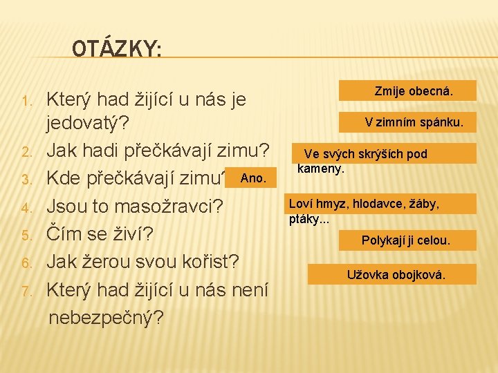 OTÁZKY: 1. 2. 3. 4. 5. 6. 7. Který had žijící u nás je