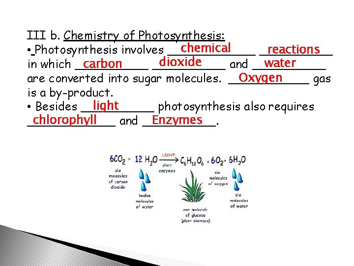 III b. Chemistry of Photosynthesis: chemical reactions • Photosynthesis involves ______ dioxide water carbon