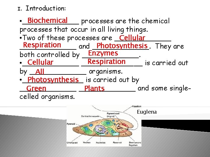 I. Introduction: Biochemical • _______ processes are the chemical processes that occur in all