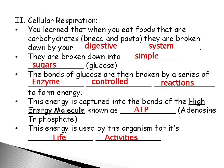 II. Cellular Respiration: • You learned that when you eat foods that are carbohydrates
