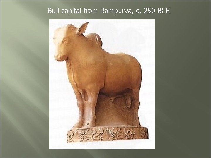 Bull capital from Rampurva, c. 250 BCE 