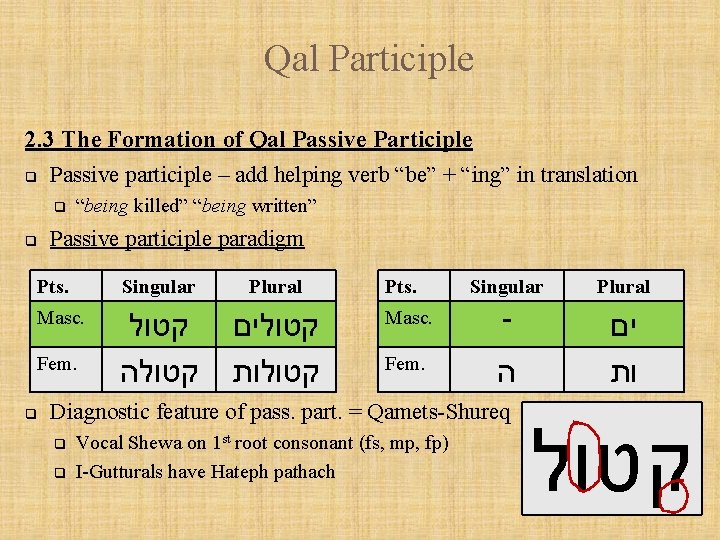 Qal Participle 2. 3 The Formation of Qal Passive Participle q Passive participle –