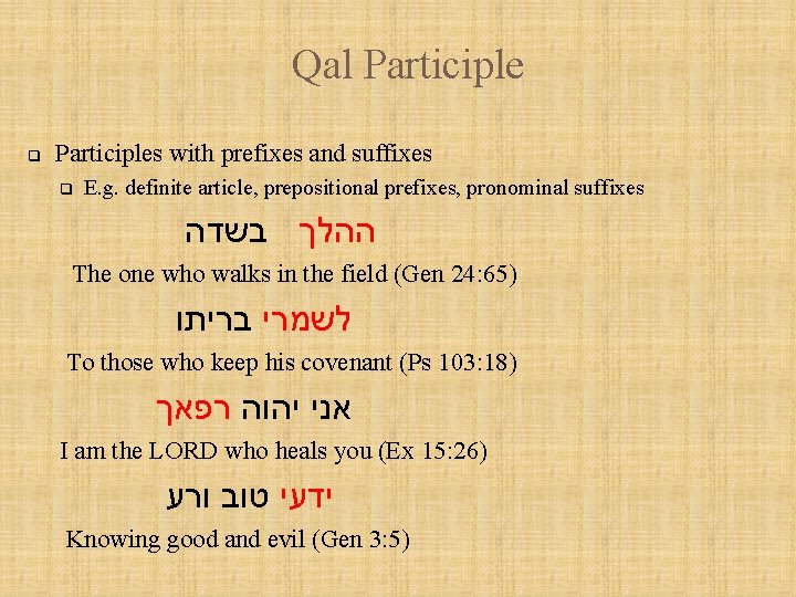 Qal Participle q Participles with prefixes and suffixes q E. g. definite article, prepositional