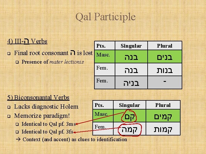 Qal Participle 4) III- ה Verbs q Pts. Singular Plural Fem. בנה בניה בנים