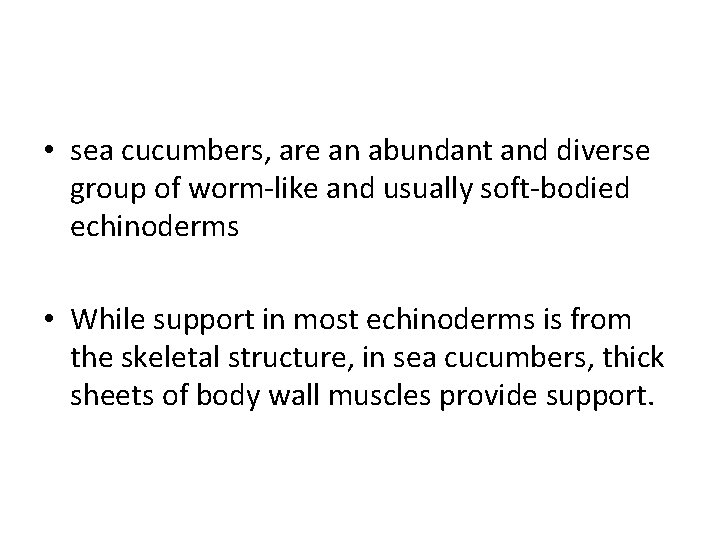  • sea cucumbers, are an abundant and diverse group of worm-like and usually