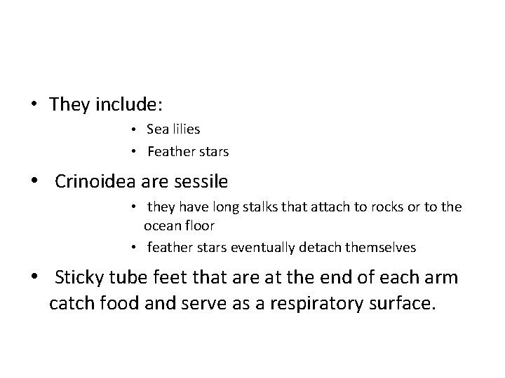  • They include: • Sea lilies • Feather stars • Crinoidea are sessile