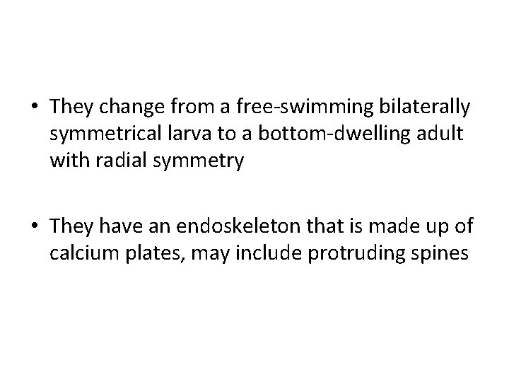  • They change from a free-swimming bilaterally symmetrical larva to a bottom-dwelling adult
