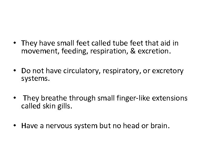  • They have small feet called tube feet that aid in movement, feeding,